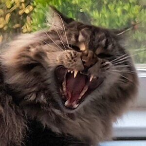 Meet your Posher, Hope